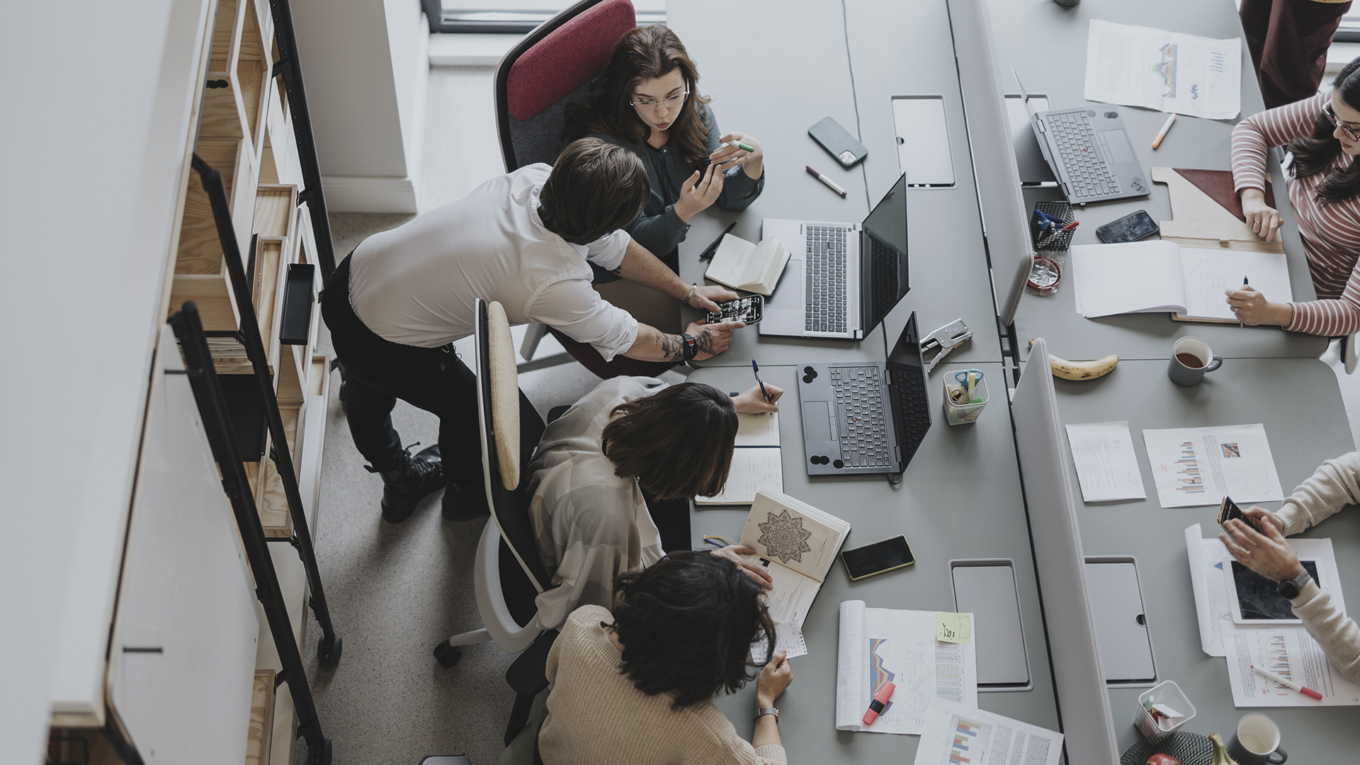 NORTH K ber Joblife Accura